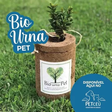 No Pet Céu, acreditamos que o amor que sentimos pelos nossos pets pode florescer para sempre. Por isso, oferecemos a Bio Urna Pet, uma opção sustentável e especial para homenagear a vida dos nossos companheiros de quatro patas. Fabricada com materiais orgânicos, essa urna é 100% biodegradável e traz consigo uma semente de mirabilis, que pode ser plantada em vasos ou diretamente no jardim.  Com a Bio Urna Pet, você transforma o luto em um gesto de amor à natureza, permitindo que uma nova vida floresça. É uma forma de dar continuidade ao carinho e às memórias, criando uma bela lembrança que cresce e se fortalece.  Entre em contato e conheça mais sobre as nossas urnas!