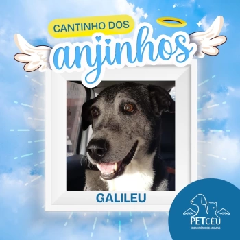 Galileu