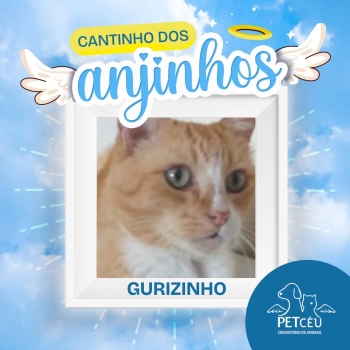 Gurizinho