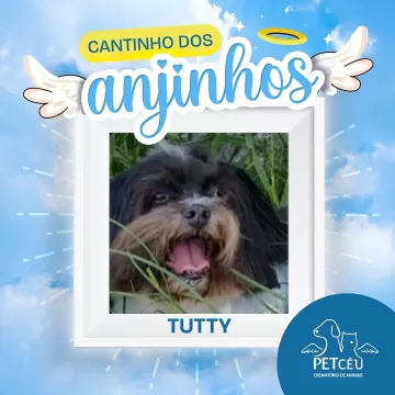 Hoje é dia de relembrar os nossos amados pets que se tornaram anjinhos.  Esta é uma homenagem da Pet Céu e dos seus tutores para relembrar com muito amor e carinho todos os pets que se tornaram estrelas e inundaram nossas vidas com lembranças e boas memórias.  Suas histórias permanecerão para sempre em nossos corações!  Para conhecer toda a lista de homenagens disponíveis pela Pet Céu, acesse o link da nossa bio!  #amordepet #cremacaopet #filhopet #petcuritiba