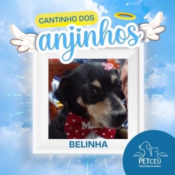 Belinha