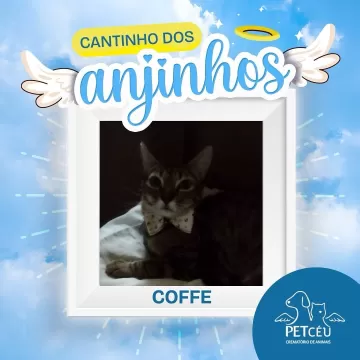 Hoje é dia de relembrar os nossos amados pets que se tornaram anjinhos.  Esta é uma homenagem da Pet Céu e dos seus tutores para relembrar com muito amor e carinho todos os pets que se tornaram estrelas e inundaram nossas vidas com lembranças e boas memórias.  Suas histórias permanecerão para sempre em nossos corações!  Para conhecer toda a lista de homenagens disponíveis pela Pet Céu, acesse o link da nossa bio!  #amordepet #cremacaopet #filhopet #petcuritiba